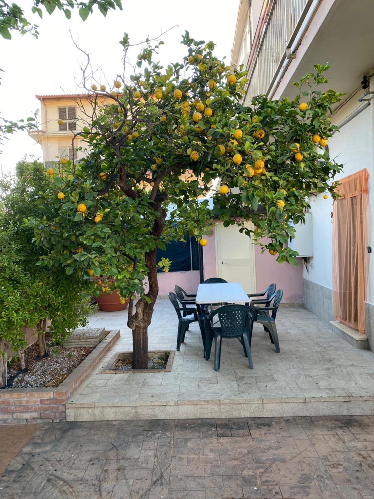 Вилла L'Albero Di Limoni Sul Mare Di Pizzo Экстерьер фото
