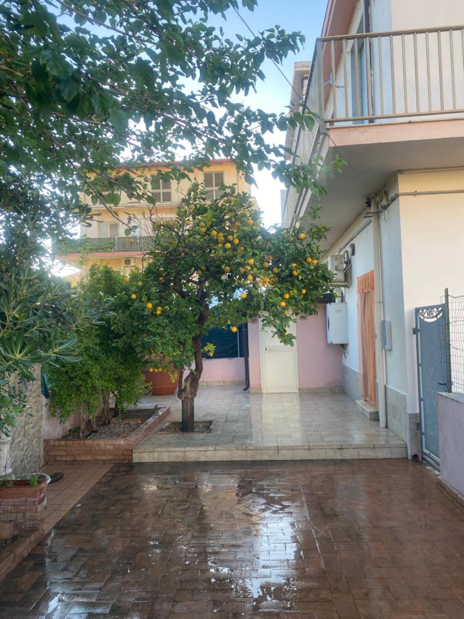 Вилла L'Albero Di Limoni Sul Mare Di Pizzo Экстерьер фото