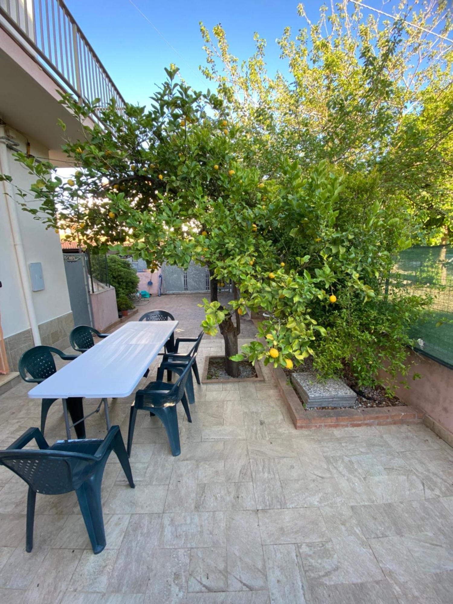 Вилла L'Albero Di Limoni Sul Mare Di Pizzo Экстерьер фото